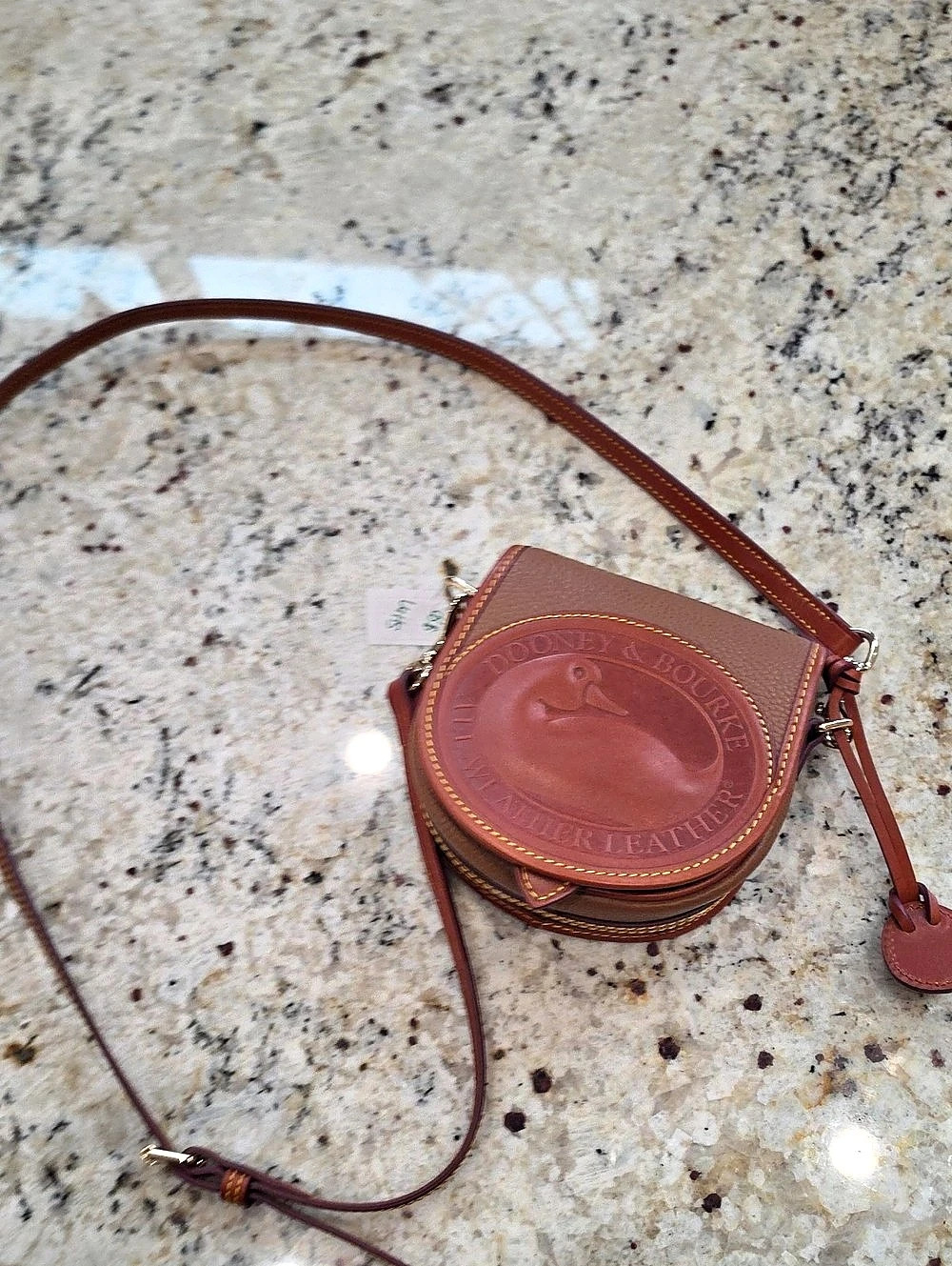 Dooney & Bourke All-Weather Leather Small Saddle Bag